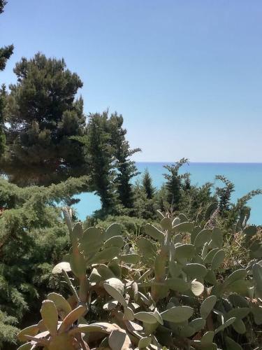 Apartamento Villa Mare E Monti