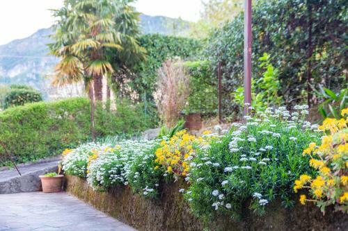 Casa Giulia (between Lake And Mountain)