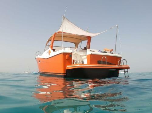 Boat And Breakfast Orange I