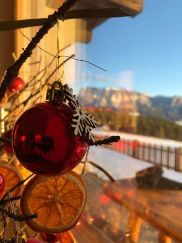 Apartamento Hause Maiblume