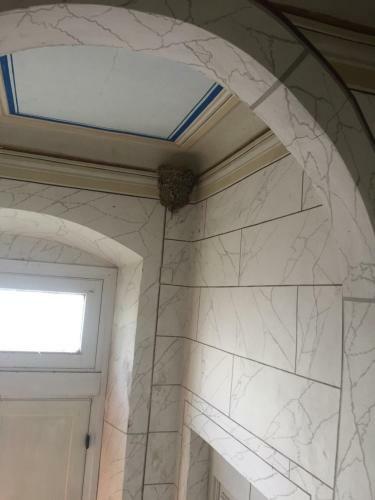 Bed & Breakfast Villa Eugenia