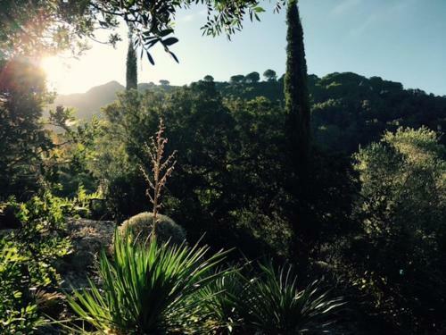Apartamento Il Borghetto Sul Golfo