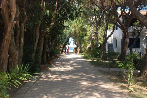 Residence Emmesse Trilocal Apartment 3 Rooms