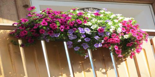 Hotel Duc De Rohan