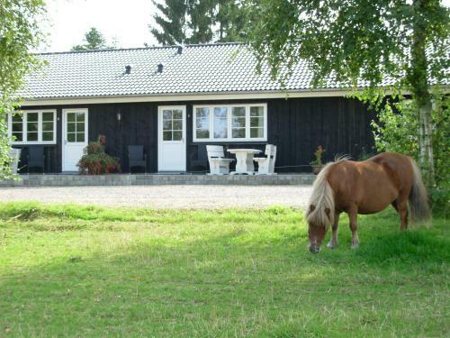 Bed & Breakfast Gregersminde