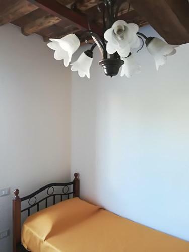 Apartamento Lucca In Corte