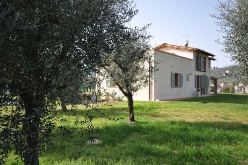 Podere Di Piero