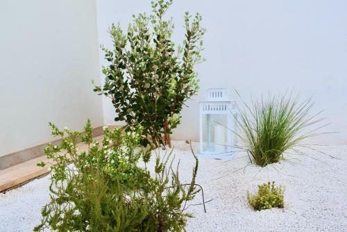 Apartamento Journey House