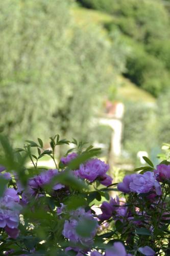 "villa Giulia Nicole" Apartaments- Country House
