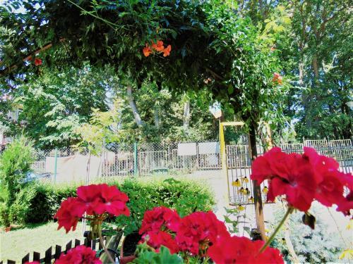 Hostal Vila Gorski Kat