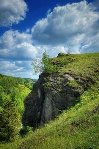 Apartamento Steinberg-blick