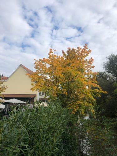 Apartamento Riverview Loft In Central Herzogenaurach