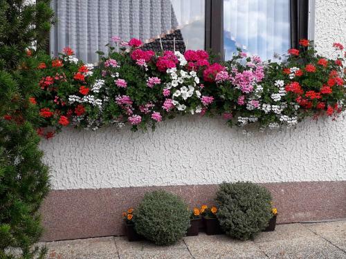 Apartamento Haus Auersburg