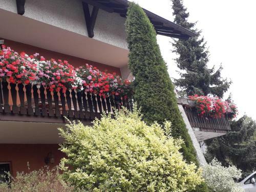 Apartamento Haus Auersburg