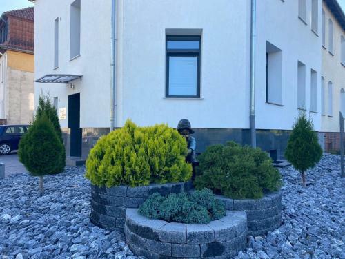 Hostal Pension Luna