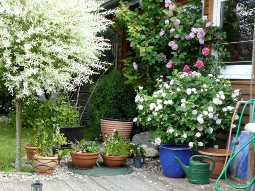 Apartamentos 4 Star Holiday House R�sslewiese
