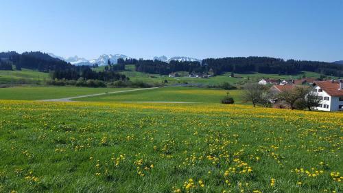 Apartamento Ferienwohnung Holzhey