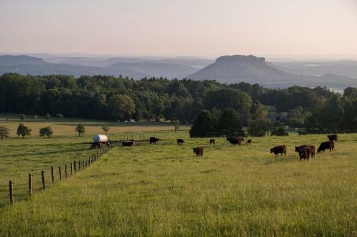 Ferienhaus Zum Liliensteinblick