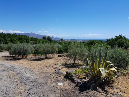 Agroturismo Agriturismo Le Case Di Civi