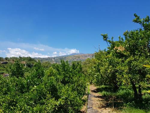 Agroturismo Agriturismo Le Case Di Civi