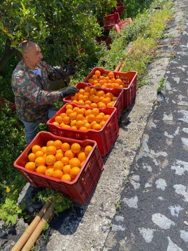 Agroturismo Agriturismo Le Case Di Civi