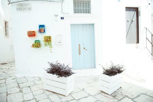 Exclusive Apartments