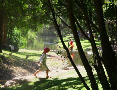 Big4 Wye River Holiday Park
