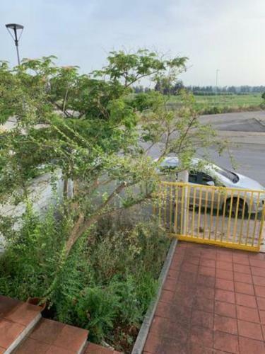 Apartamento Metaponto - Terra Greca