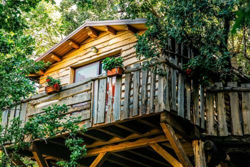 Lodge Le Casette Sull'albero Di Villa Alba