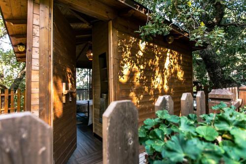 Lodge Le Casette Sull'albero Di Villa Alba