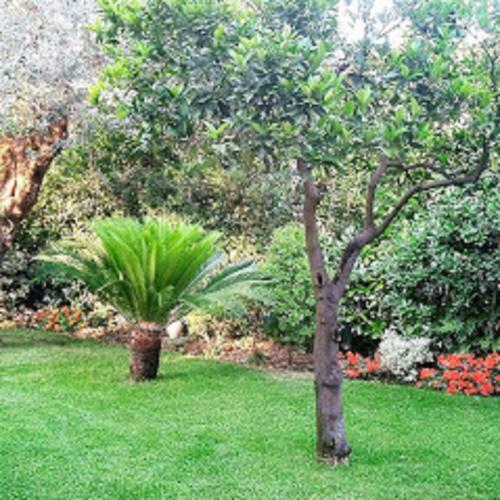 Apartamento C� Bianca Scauri