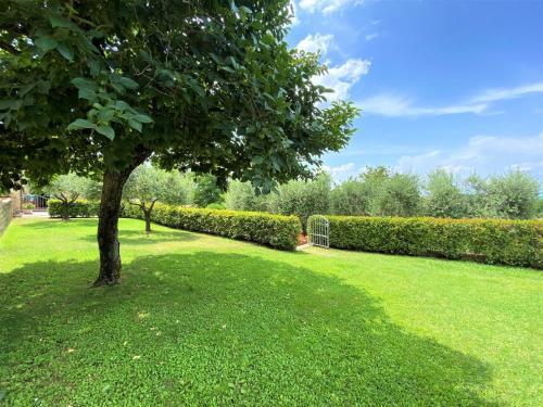 Apartamento Locazione Turistica Stregaia-6