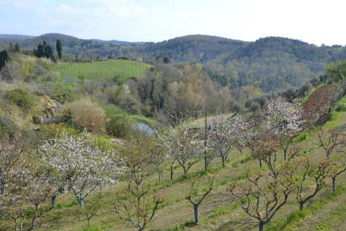 Apartamento La Casina Sonia