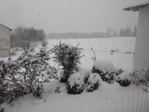 Apartamento Eistobel Und Felderhalde