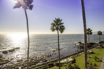 Hotel Las Rosas & Spa