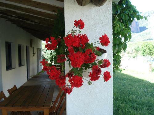 Camping Bungalows Armalygal