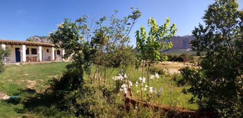 Camping Bungalows Armalygal