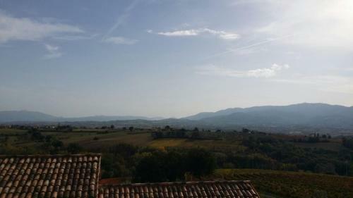 Hostal Monolocale Lori