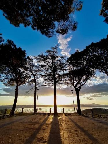 Belvedere