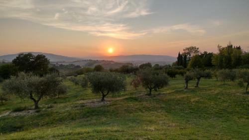Apartamento La Maggiolina Country House