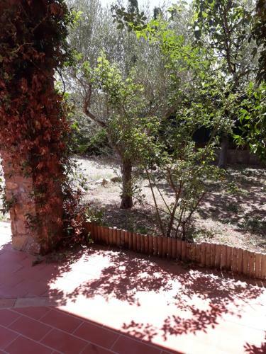Apartamento Appartamenti La Quercia