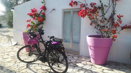 Casa Vacanza Orchidea Vicino A Mattinata Gargano