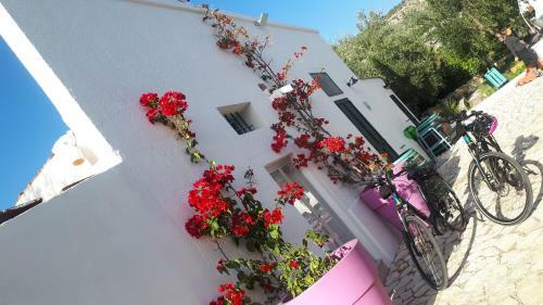 Casa Vacanza Orchidea Vicino A Mattinata Gargano