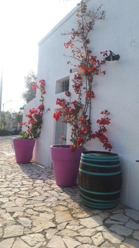 Casa Vacanza Orchidea Vicino A Mattinata Gargano