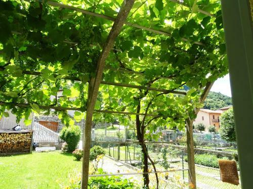 Apartamento La Vite Holiday Home