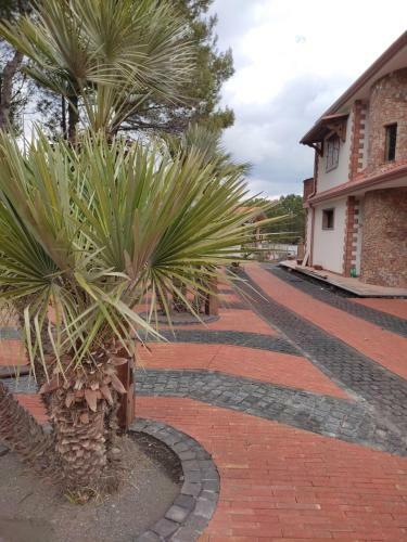 Bed & Breakfast Etna Casa Del Sole