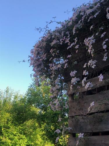 Alte Kate Mit Bau-& Zirkuswagen Im Gartenidyll
