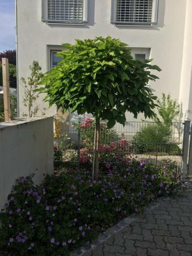 Apartamento Ferienwohnung Im Herzen Von Kelheim