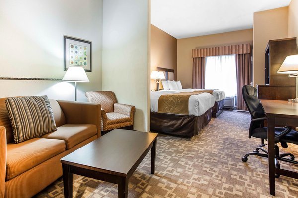 Hotel Comfort Suites At Kennesaw State University