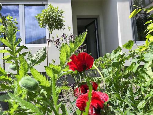Apartamento Stadtoase Koblenz